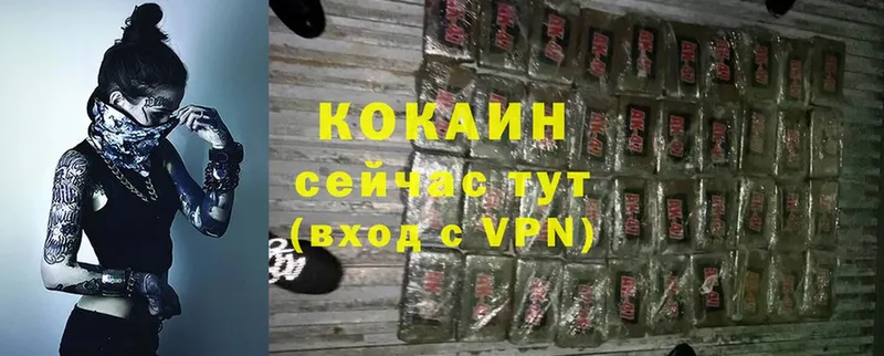 Cocaine Fish Scale  сколько стоит  Завитинск 